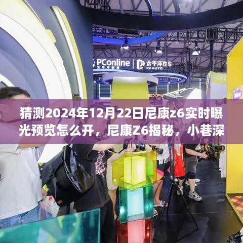 揭秘尼康Z6曝光预览的神秘开关，2024年12月22日操作指南与小巷深处的隐藏菜单探索