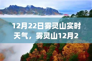 雾灵山12月22日实时天气详解与解析