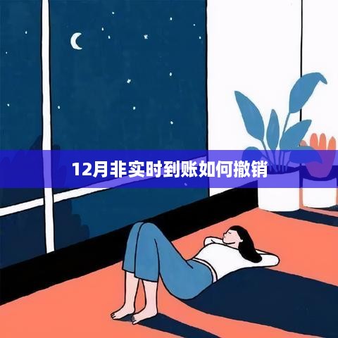 非实时到账撤销指南，12月操作全攻略