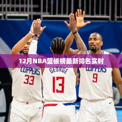 12月NBA篮板榜最新排名动态更新