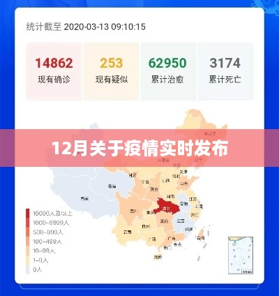 疫情实时发布动态（十二月版）