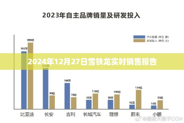 雪铁龙实时销售报告，深度解析销售业绩数据