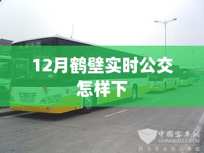 鹤壁实时公交出行指南，如何正确下车