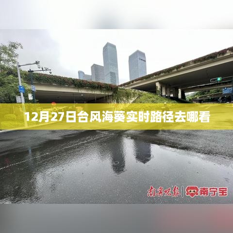 台风海葵实时路径追踪报道，最新动态与预测