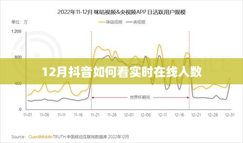 抖音实时在线人数查看攻略，12月版