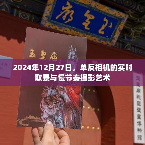 单反相机实时取景与慢节奏摄影艺术赏析，2024年12月27日