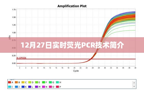 实时荧光PCR技术介绍，原理与特点解析