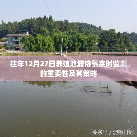 养殖池塘溶氧实时监测的重要性及策略解析