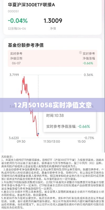 12月501058基金实时净值解析