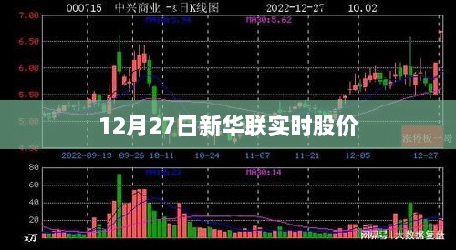 新华联实时股价走势分析