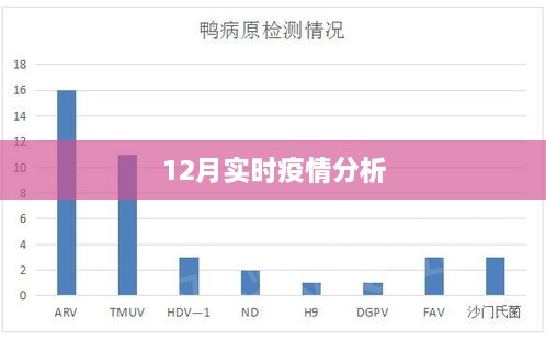 最新疫情动态分析报告，十二月数据解读