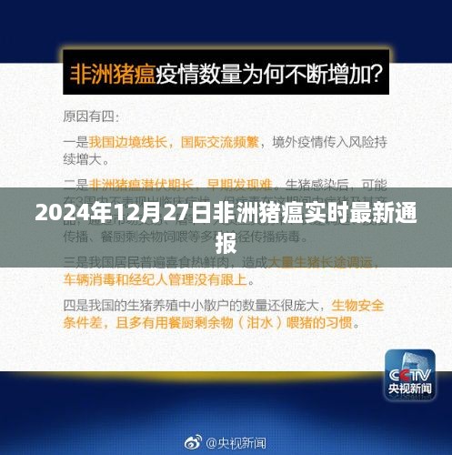 非洲猪瘟最新通报，关注全球动态，警惕疫情发展（2024年12月）