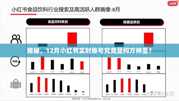 揭秘小红书12月实时账号背后的神秘力量