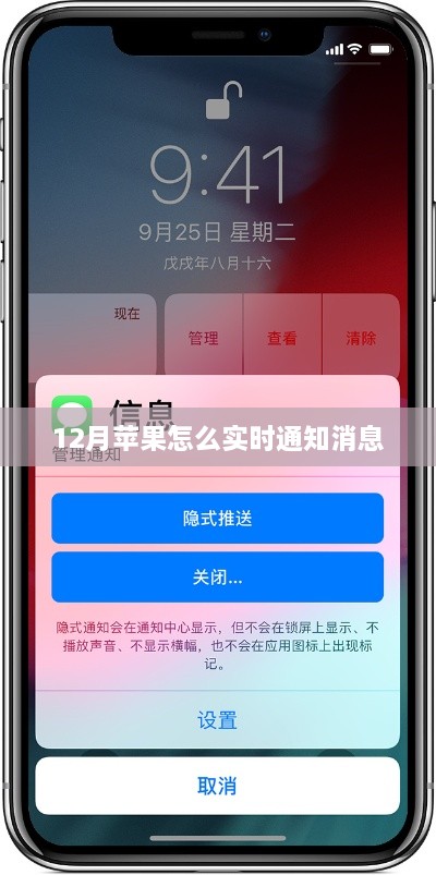 苹果实时通知设置指南，冬季消息通知全攻略
