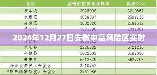 安徽中高风险区最新动态（实时更新至2024年12月）