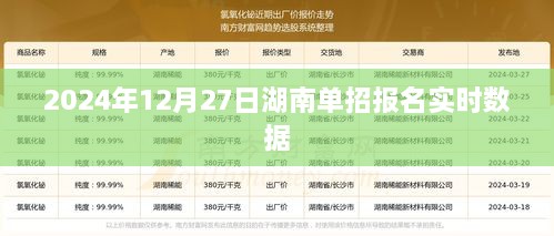 湖南单招报名实时数据（最新更新至2024年12月27日）