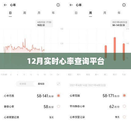 实时心率查询平台（十二月最新更新）