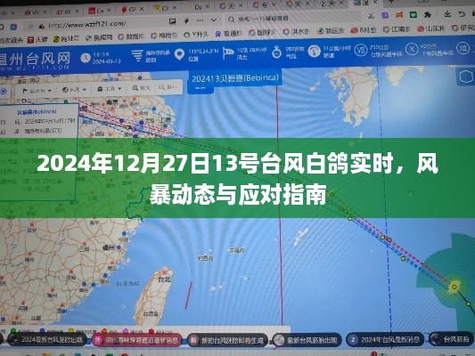 台风白鸽动态更新，风暴进展及应对指南