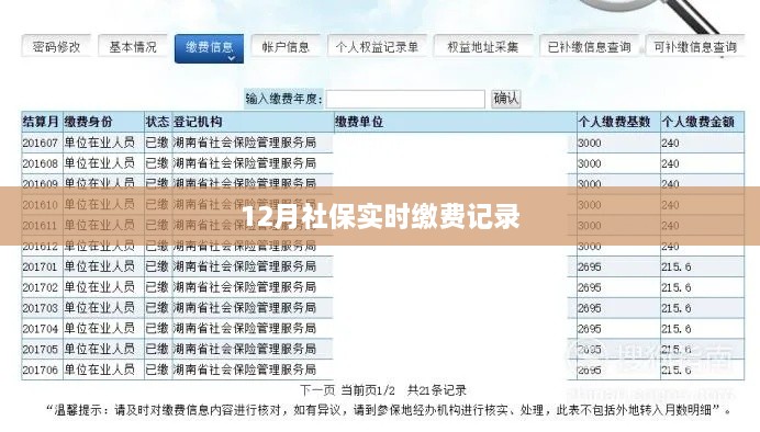 实时缴费记录查询，社保缴费状态查询