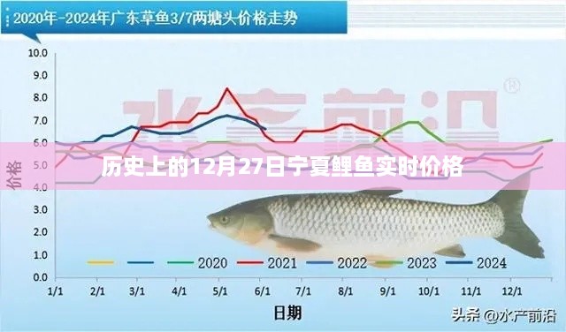 宁夏鲤鱼实时价格历史记录，12月27日数据回顾