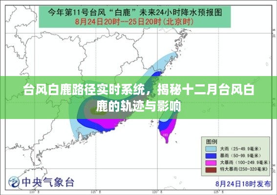 台风白鹿路径实时系统，追踪白鹿台风轨迹与影响