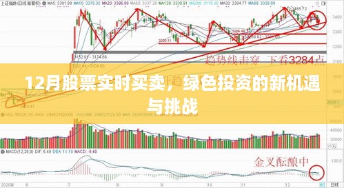 12月股票实时交易，绿色投资的新机遇与挑战解析