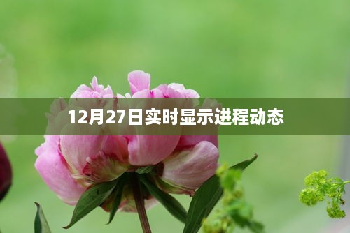 12月27日最新进程动态实时更新