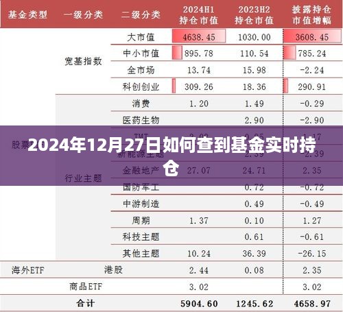 如何查询基金实时持仓信息（时间，2024年12月27日）