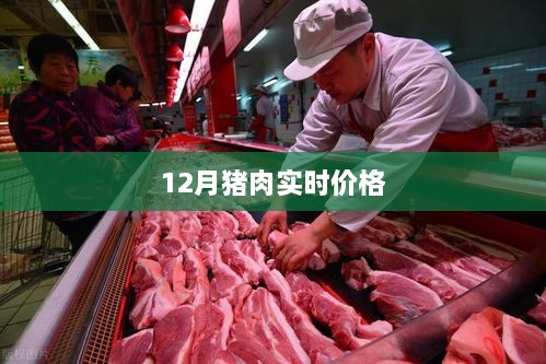 猪肉实时价格查询，最新市场行情分析