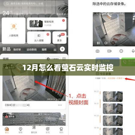 萤石云实时监控观看指南，12月监控一览