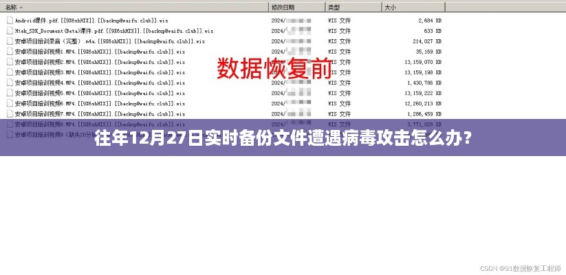 应对病毒攻击的实时备份文件处理策略