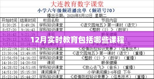 12月实时教育热门课程全解析