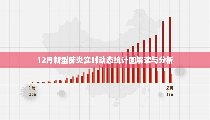 12月新型肺炎实时动态统计图全面解读与分析