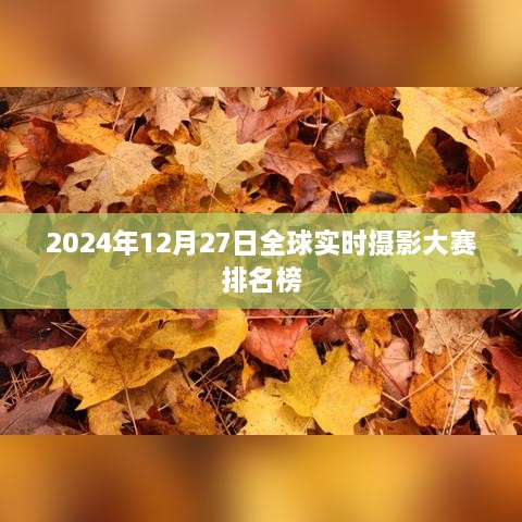 全球实时摄影大赛排名榜揭晓，2024年12月27日榜单出炉！