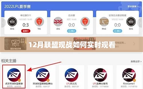 联盟观战实时观看指南