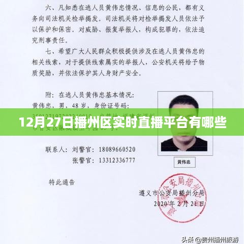 播州区直播实时平台列表，最新动态一网打尽