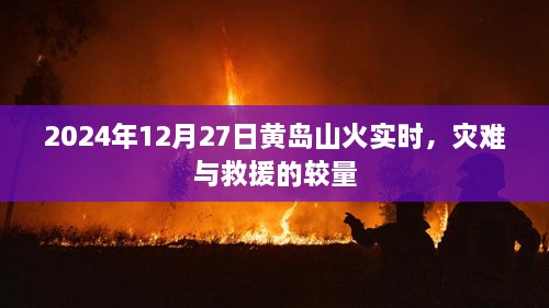 黄岛山火实时更新，灾难与救援的较量（2024年12月27日）