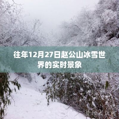 赵公山冰雪世界12月27日实时美景赏析