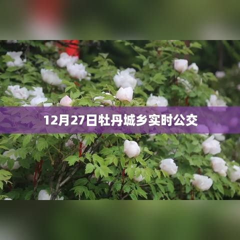 牡丹城乡实时公交动态更新通知，十二月二十七日更新时刻表