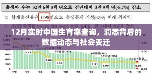 中国生育率实时查询，洞悉社会变迁与数据动态