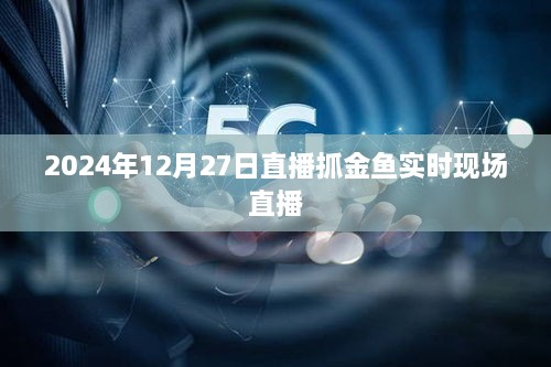 直播抓金鱼现场，2024年12月27日金鱼捕捉实况