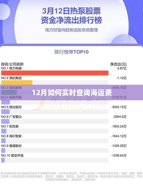 12月实时海运费查询攻略