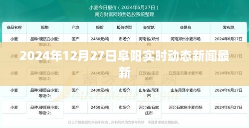 阜阳实时新闻动态更新，2024年12月27日最新资讯