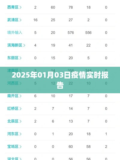 2025年疫情实时报告，最新数据及分析