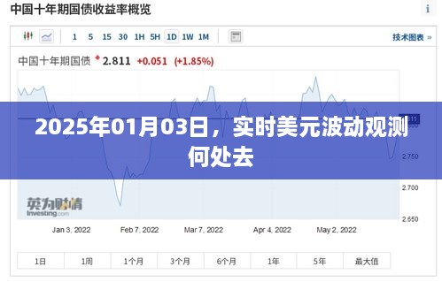 实时观测美元波动走势，掌握未来金融动向