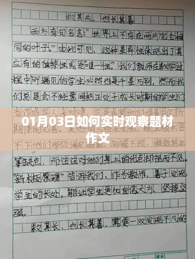 题材作文实时观察技巧与方法解析