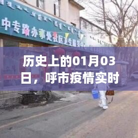 呼市疫情实时进展图表，历史一月三日更新