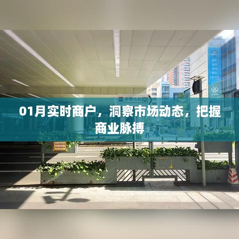 实时商户洞察市场，掌握商业脉搏动态