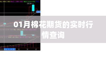 实时查询01月棉花期货行情动态