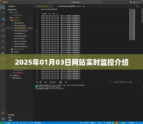 2025年网站实时监控全面介绍